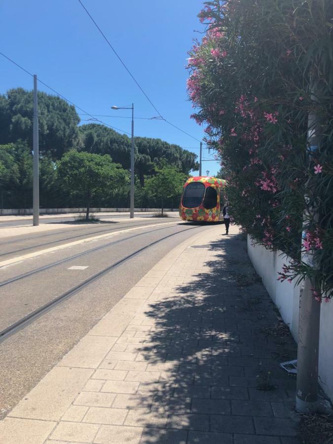 Appartement Mimosa, Tram 2, Parking مونبيلييه المظهر الخارجي الصورة